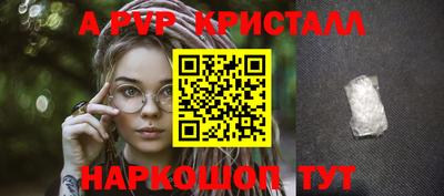стаф Гудермес