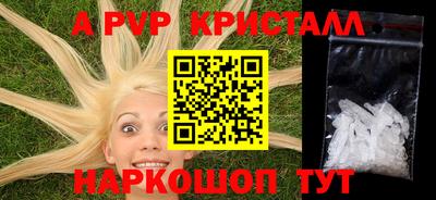 стаф Гудермес