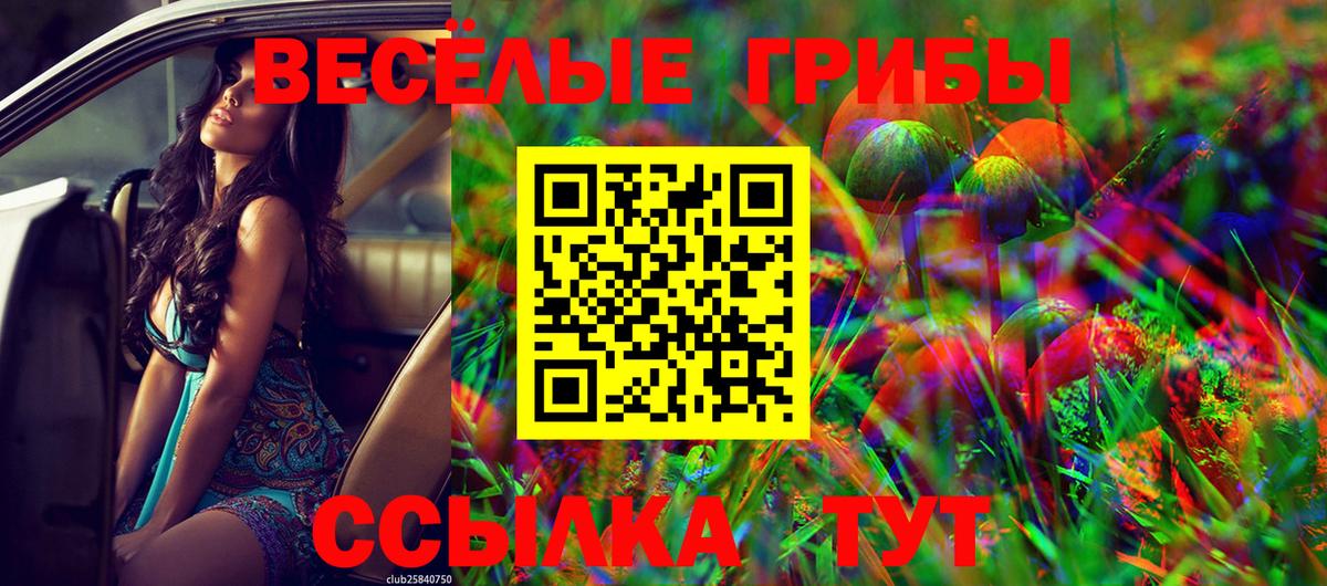 Гагарин  Галлюциногенные грибы Psilocybine cubensis  Вход с VPN 